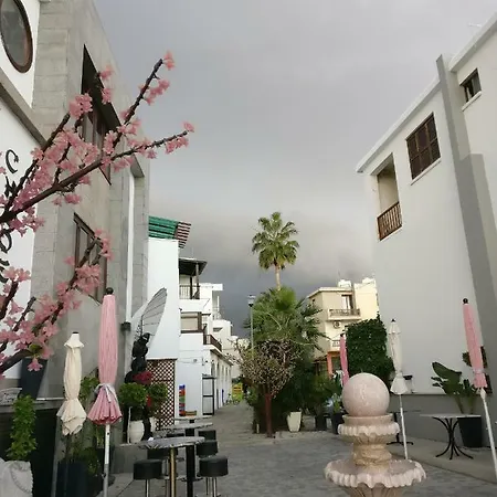 Paradise Garden *